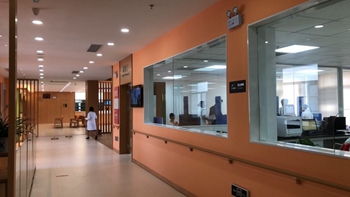 廣東海外建設(shè)咨詢 以技術(shù)驅(qū)動，點(diǎn)亮“一帶一路”工程新篇章